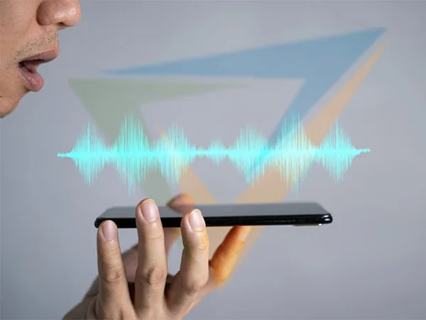 Voice biometrics authentication